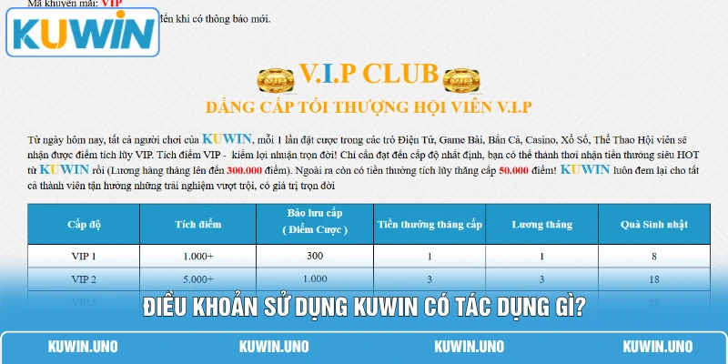 Điều Khoản Sử Dụng KUWIN 1 Điều khoản sử dụng KUWIN có tác dụng gì?