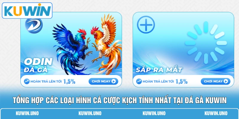 Tổng hợp các loại hình cá cược kịch tính nhất tại đá gà KUWIN